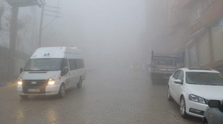 Şırnak&rsquo;ta Sis Nedeniyle G&ouml;r&uuml;ş Mesafesi 5 Metreye D&uuml;şt&uuml;