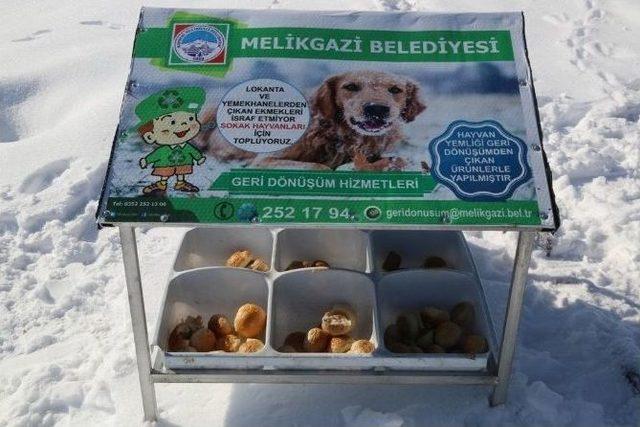 Doğa Dostu Belediye’den Hayvanlara Gıda Desteği