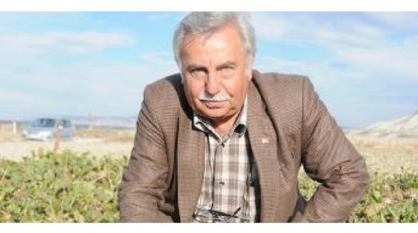 Ankara Pancar Kooperatifi Başkanı: "pancarı Erken Ekmek Bu Sene Ciddi Risk"