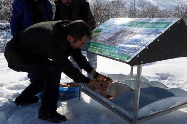 Sokak Hayvanları Ve Yılkı Atları Için Yem Bırakıldı