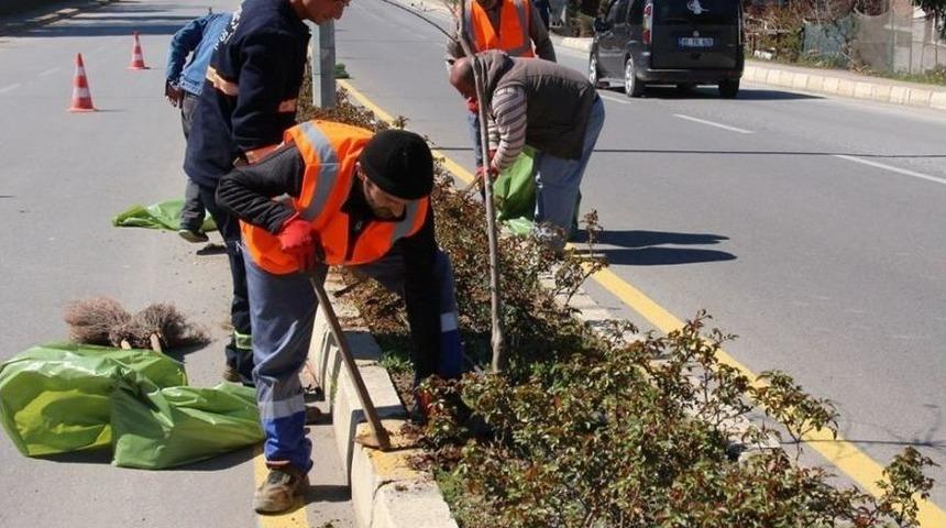 Ak&ccedil;akoca Belediyesi Bahar &Ccedil;alışmalarına Başladı