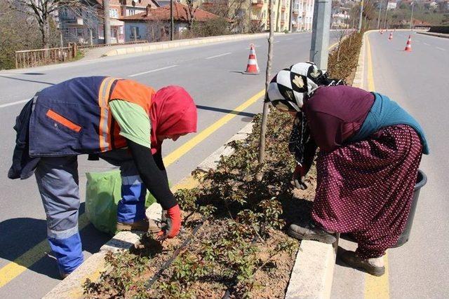 Ak&ccedil;akoca Belediyesi Bahar &Ccedil;alışmalarına Başladı 1