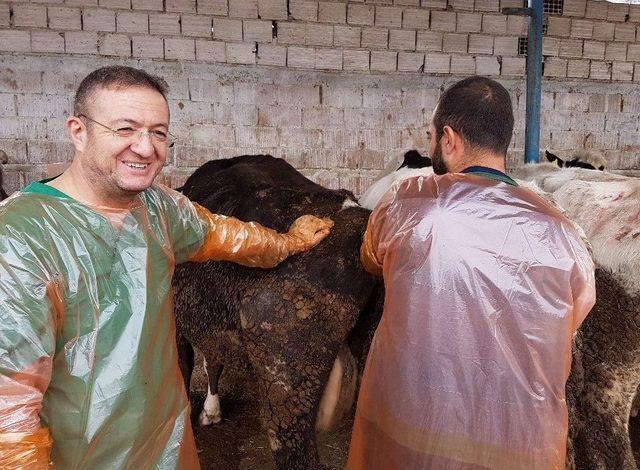 Aydın Suni Tohumlamada Türkiye’nin Eğitim Merkezi Oldu