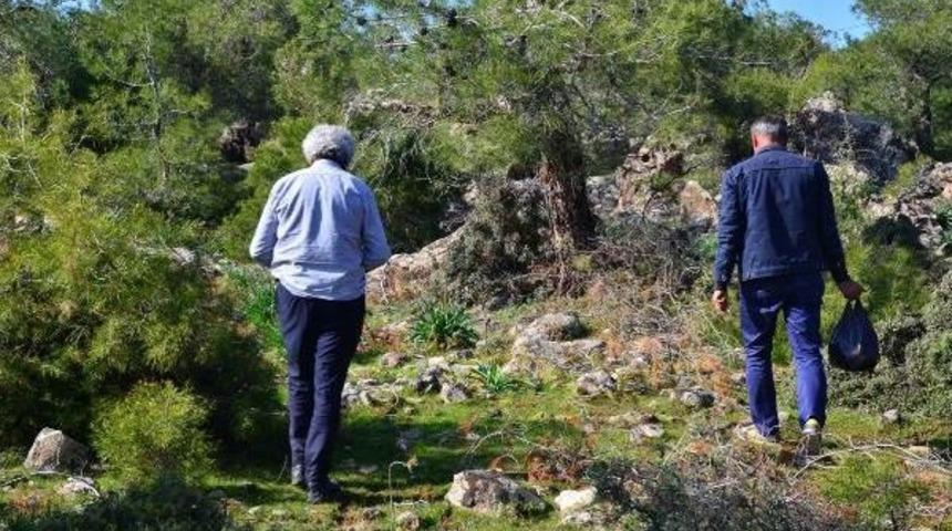 Kilosu 120 Liradan Satılan Kuzu G&ouml;beği I&ccedil;in Ormana Koştular