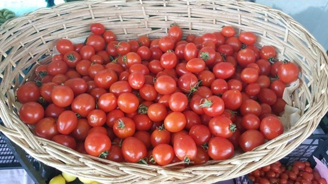 A&rsquo;dan Z&rsquo;ye T&uuml;rkiye&rsquo;de Organik Tarım Ger&ccedil;eği