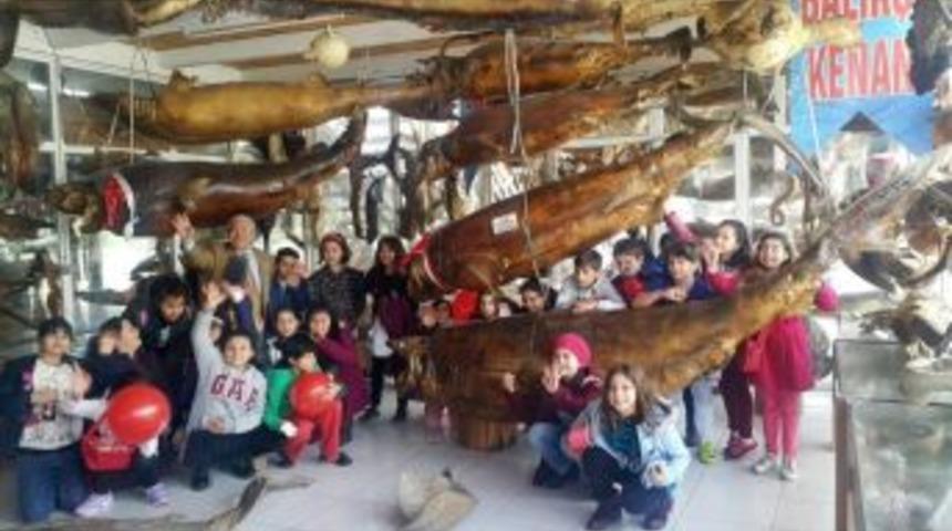 &Ouml;ğrencilerin G&ouml;zdesi Mumyalar