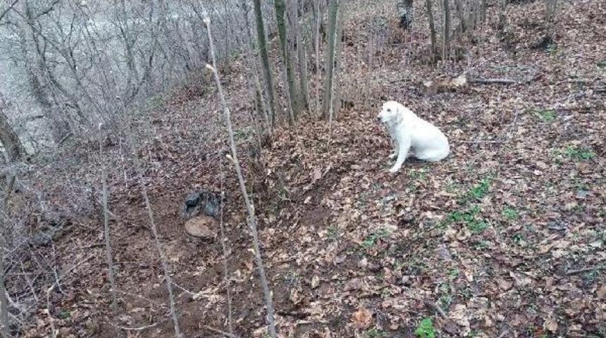 Hizan&rsquo;Da Bulunan El Yapımı Patlayıcı Imha Edildi