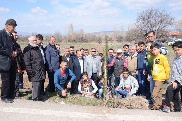 Şehitler Çam Fidanlarında Yaşayacak