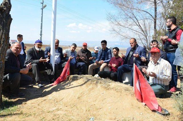 Şehitler Çam Fidanlarında Yaşayacak