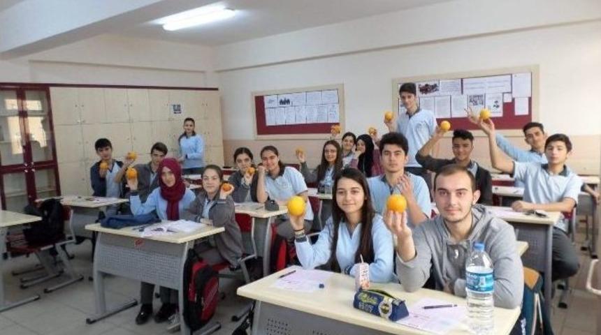 Her Ay Farklı Bir Dost İle Besleniyorlar