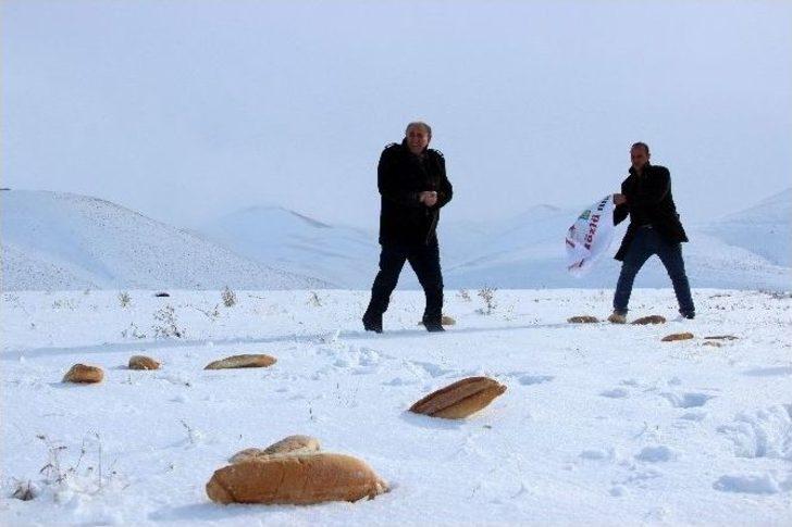 ‘binbir Hatim’ Anısına Doğaya 1001 Ekmek Bıraktılar G2