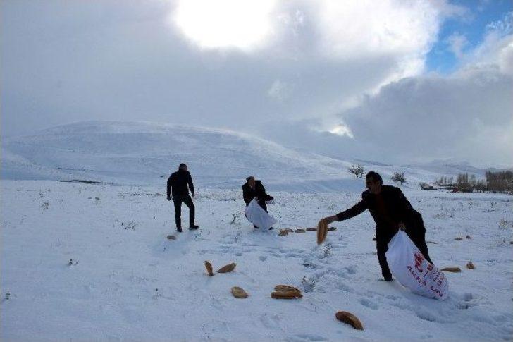 ‘binbir Hatim’ Anısına Doğaya 1001 Ekmek Bıraktılar G3