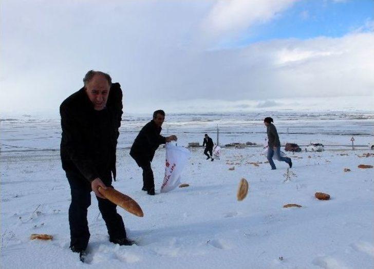 ‘binbir Hatim’ Anısına Doğaya 1001 Ekmek Bıraktılar G5