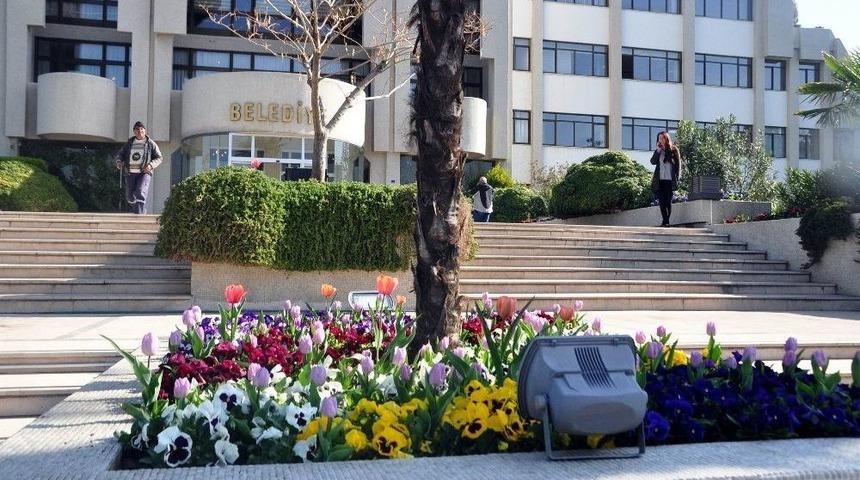 Salihli’ye Bahar Geldi Her Yer Rengarenk Oldu