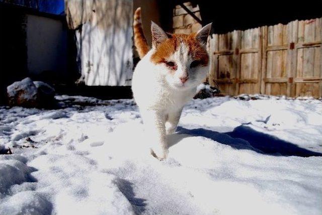 Silifke&rsquo;ye Yılın İlk Karı Yağdı 2