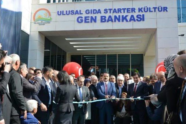 Bakan Çelik, Bursa’Da Gen Bankası'nın Açılışını Yaptı