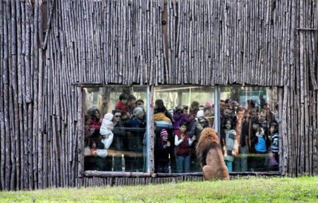 Doğal Yaşam da Ziyaret&ccedil;i Rekoru 2