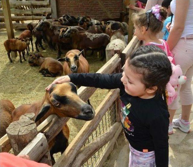 Doğal Yaşam da Ziyaret&ccedil;i Rekoru 3