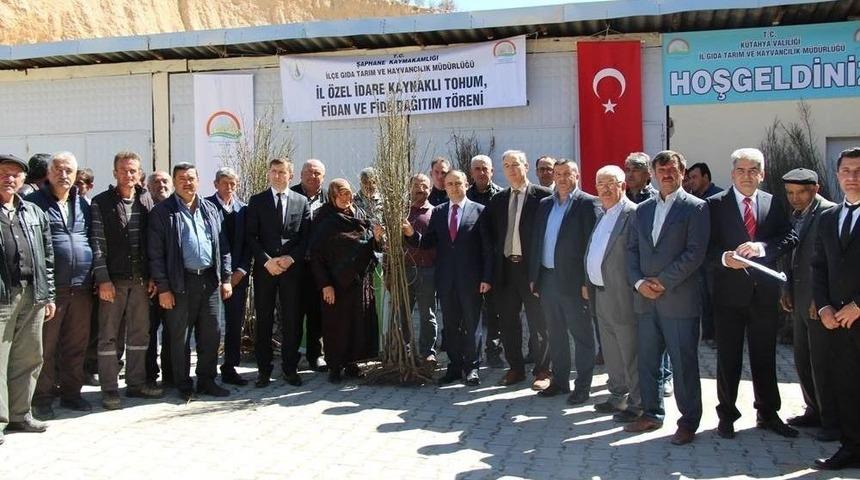 Şaphane&rsquo;de Bin 560 Fidan Toprakla Buluştu