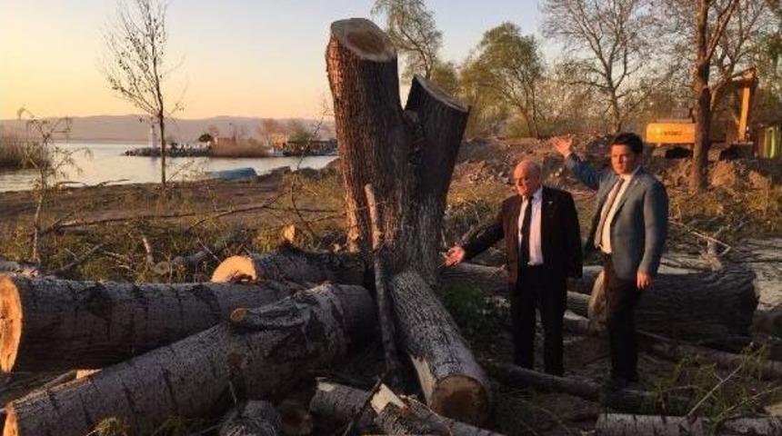 Chp&rsquo;Li Aydın&rsquo;Dan İznik G&ouml;l&uuml; Kıyısında Ağa&ccedil; Kesimine Tepki