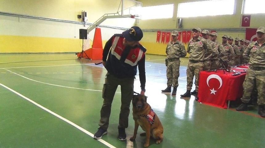 Korucuların Yemin T&ouml;reninde Jandarma K&ouml;peklerinin G&ouml;sterisi B&uuml;y&uuml;k Beğeni Topladı