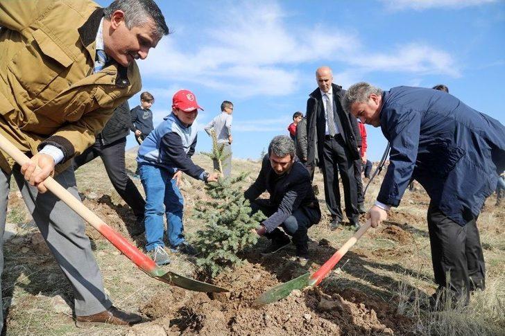 Talas’ta Yüzlerce Fidan Toprakla Buluştu G1