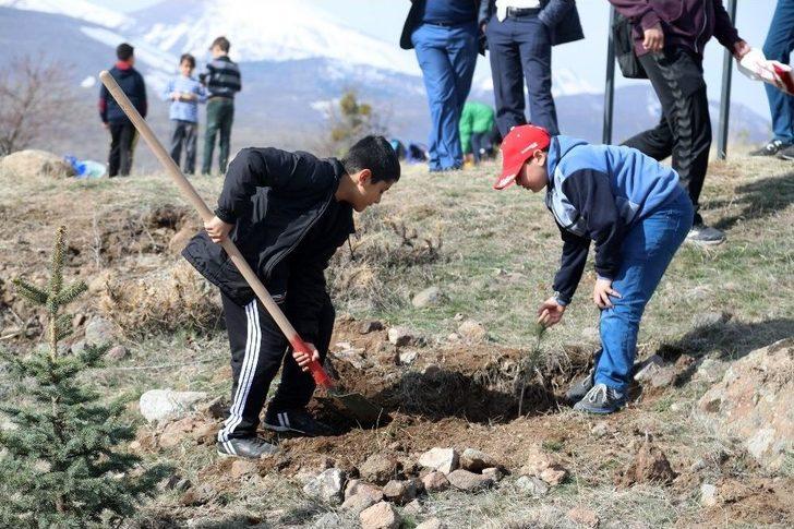 Talas’ta Yüzlerce Fidan Toprakla Buluştu G2