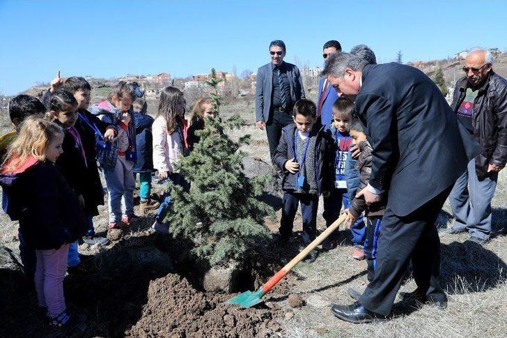 Talas’ta Yüzlerce Fidan Toprakla Buluştu G5