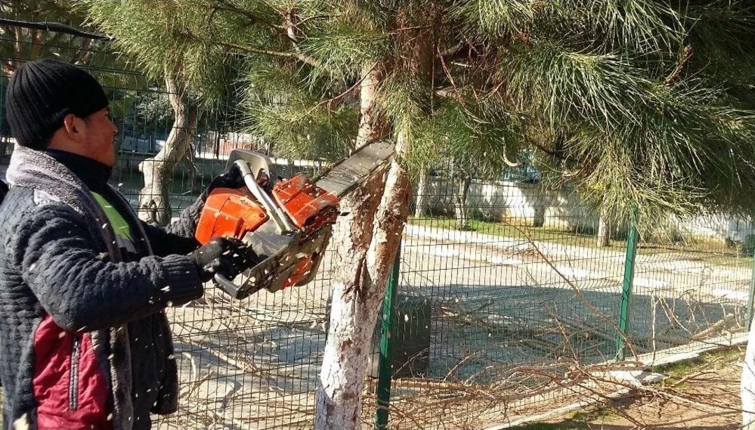 Okullara Hep Destek, Tam Destek Efeler Belediyesi&rsquo;nden