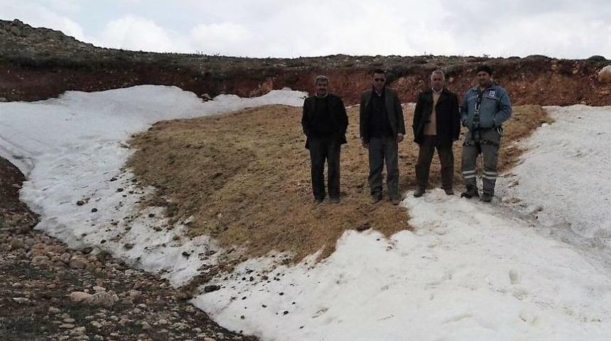 Yazın Yemek İçin Saman Altında Kar Saklıyorlar