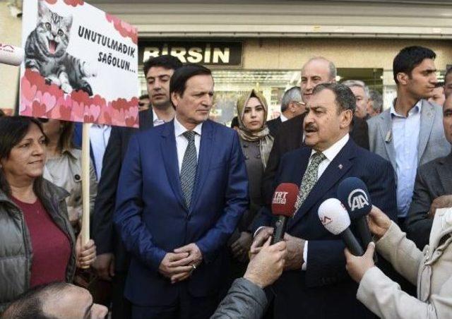 Fotoğraflar//bakan Eroğlu Büyükçekmece'de Fidan Dikim Törenine Katıldı