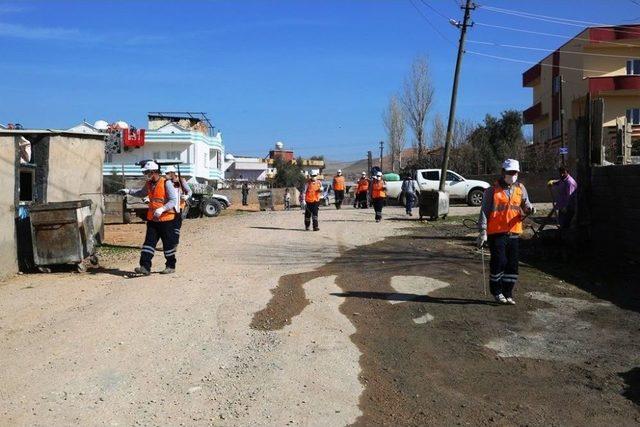 Cizre Belediyesi İlçe Genelinde İlaçlama Çalışması Başlattı