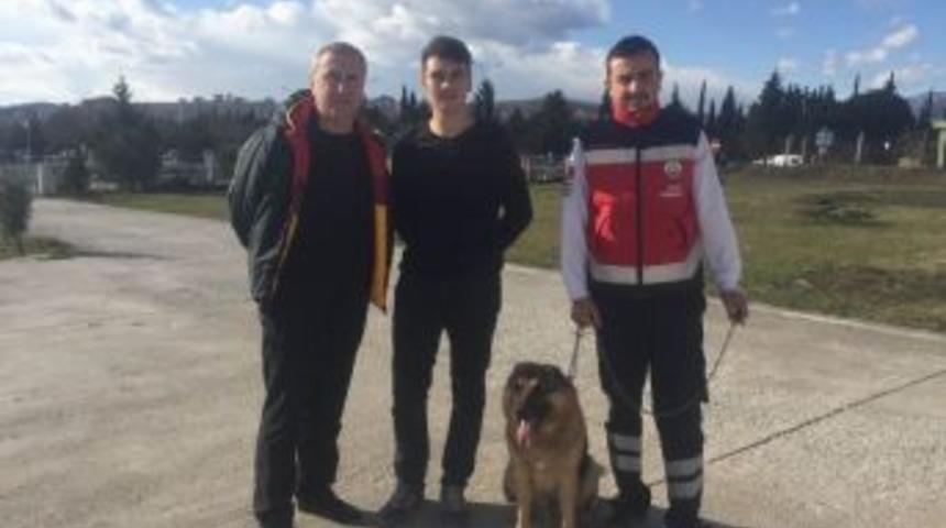 Hava Ambulans Servisinin Kaybolan Bek&ccedil;i K&ouml;peği Bulundu