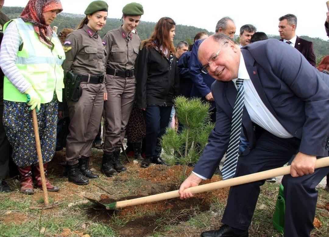 &lsquo;g&ouml;n&uuml;l El&ccedil;ileri&rsquo;nin Fidanları Toprakla Buluştu