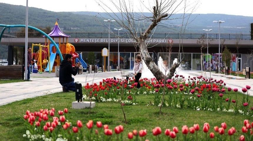 Menteşe &lsquo;lale&rsquo; A&ccedil;tı