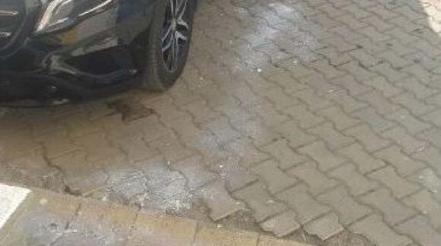 Boz&uuml;y&uuml;k&rsquo;te Naftalin Y&uuml;z&uuml;nden Komşuların Arası A&ccedil;ıldı