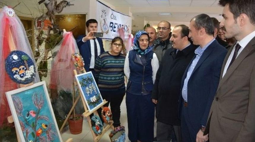 19 Mayıs&rsquo;ta Engeller G&uuml;n&uuml; Resim Sergisi