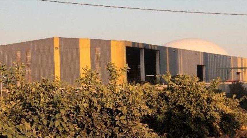 Çöp Ayrıştırma İstasyonunda Kadın Bacağı Bulundu