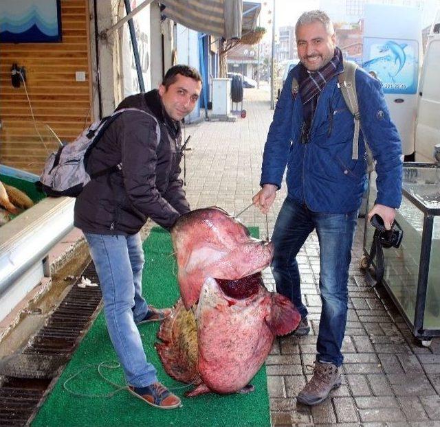 Manisa&rsquo;da 2.5 Metrelik Yayın Yakalandı 2