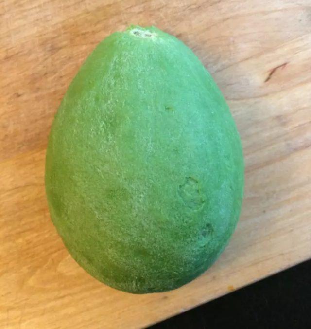 avo