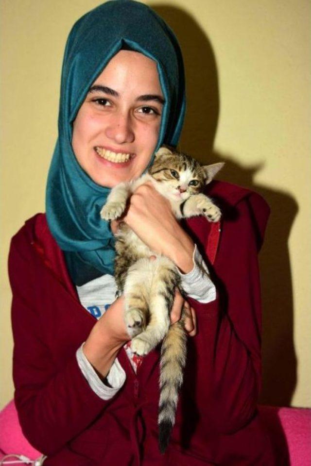 Mahsur Kalan Kediyi &Ouml;nce Kurtardı, Sonra Sahiplendi 1