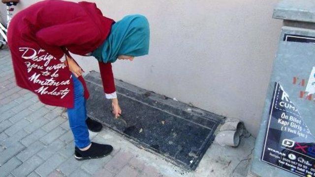 Mahsur Kalan Kediyi &Ouml;nce Kurtardı, Sonra Sahiplendi 2