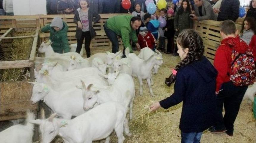 K&uuml;pesini G&ouml;ren &Ccedil;oban Olduğuna İnanmıyor