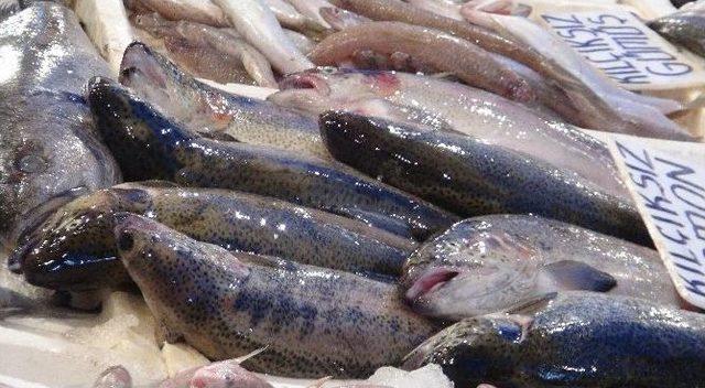 Mersinli Balık&ccedil;ılardan Cumhurbaşkanı Erdoğan&rsquo;ın A&ccedil;ıklamalarına Destek 1