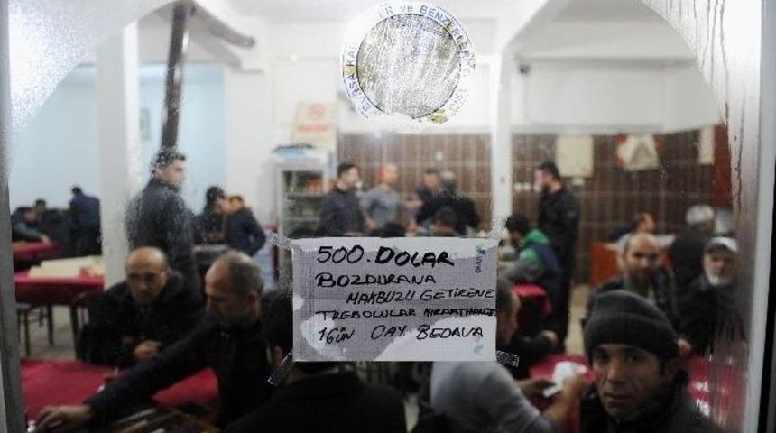 Dolar Bozdurana T&uuml;m G&uuml;n &Ccedil;ayı Bedava Verecek