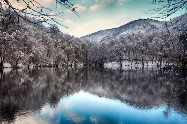 Yedigöller de Kış Güzelliği 1