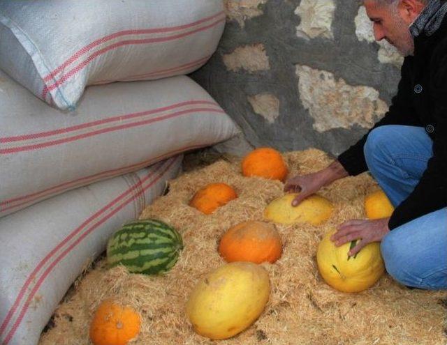 &Ccedil;emişgezeklilerin Samanlıkta Sakladıkları Lezzet 1