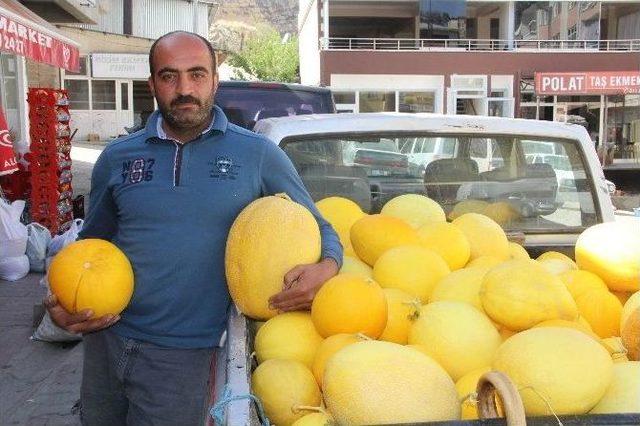 &Ccedil;emişgezeklilerin Samanlıkta Sakladıkları Lezzet 2