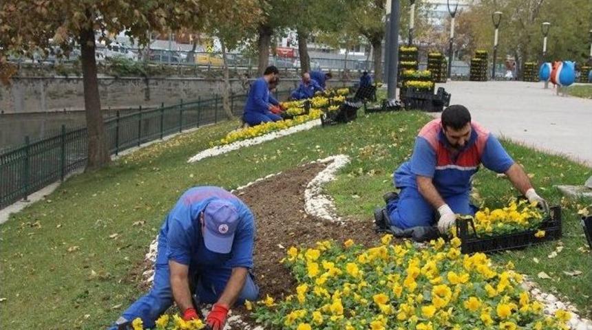 Kağıthane&rsquo;yi Rengarenk Kış &Ccedil;i&ccedil;ekleri S&uuml;sl&uuml;yor