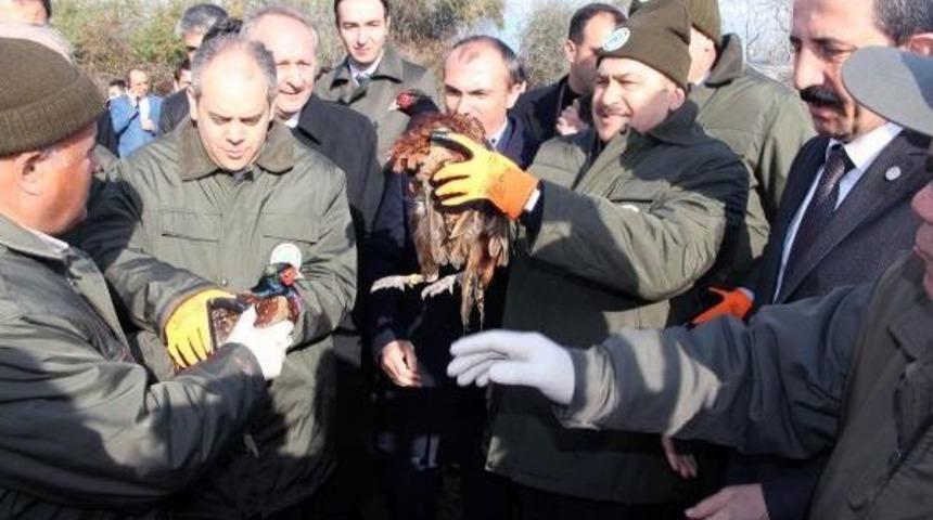 Bakanlar Eroğlu Ve Kılı&ccedil;, Samsun'da A&ccedil;ılış Yapıp Temel Attı (2)